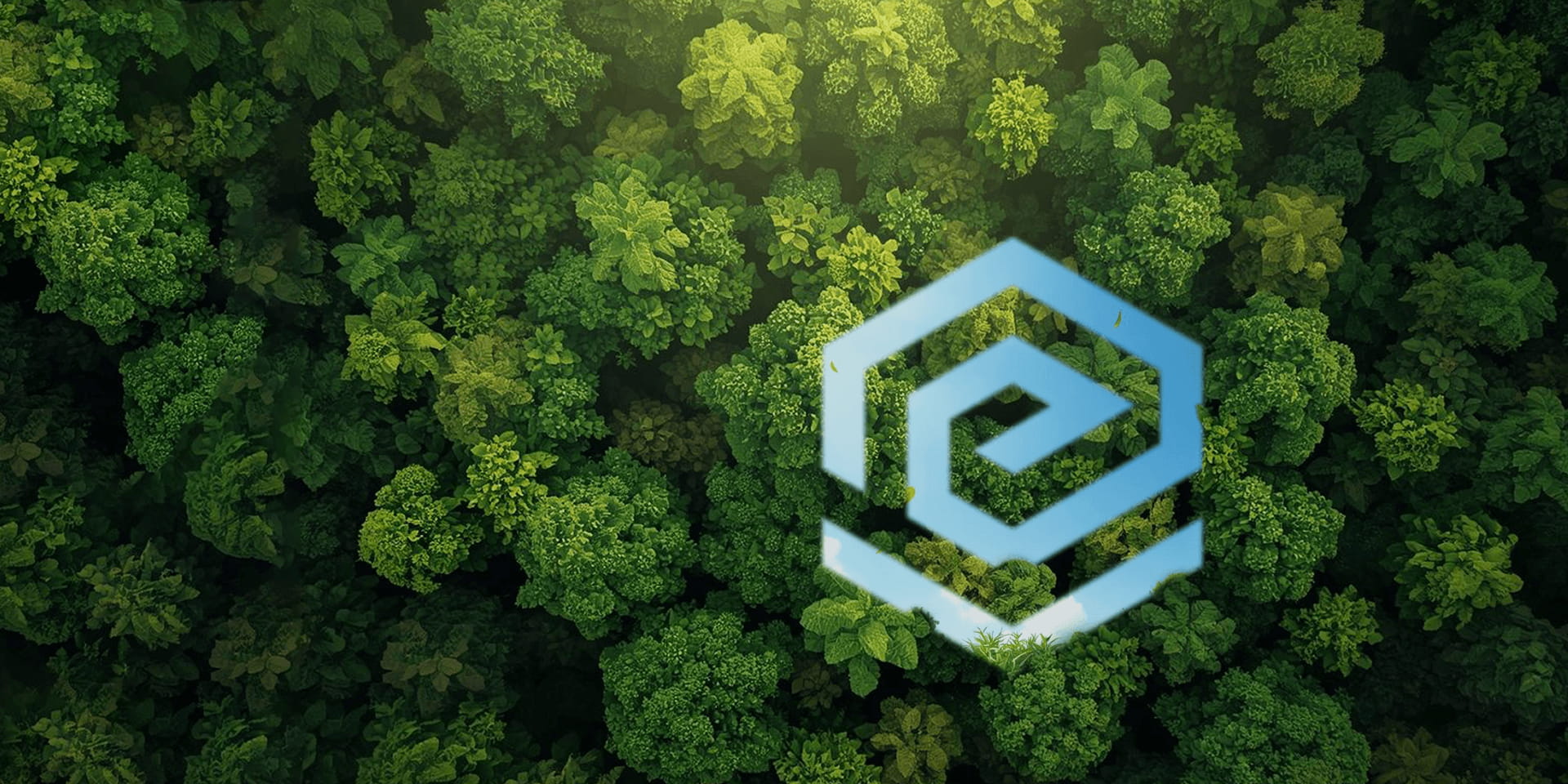 SUSTAINABILITY